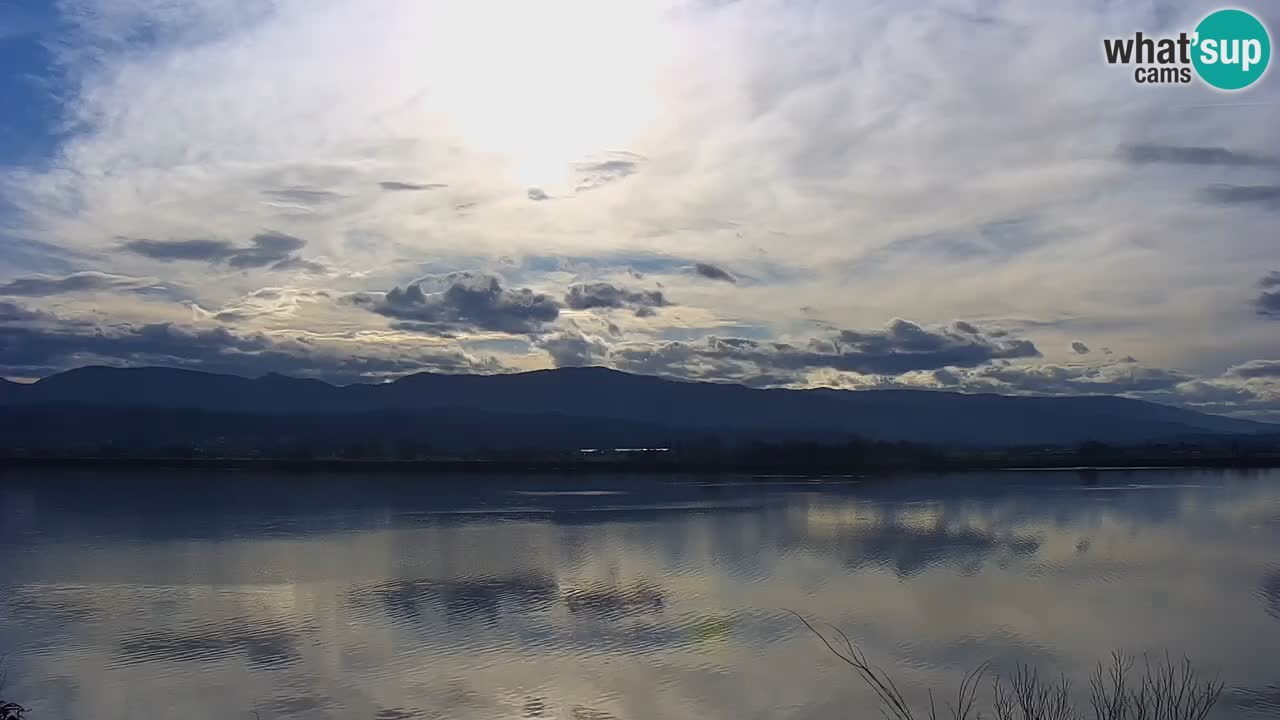 Webcam en direct Lac Brežice sur la rivière Sava – Slovénie