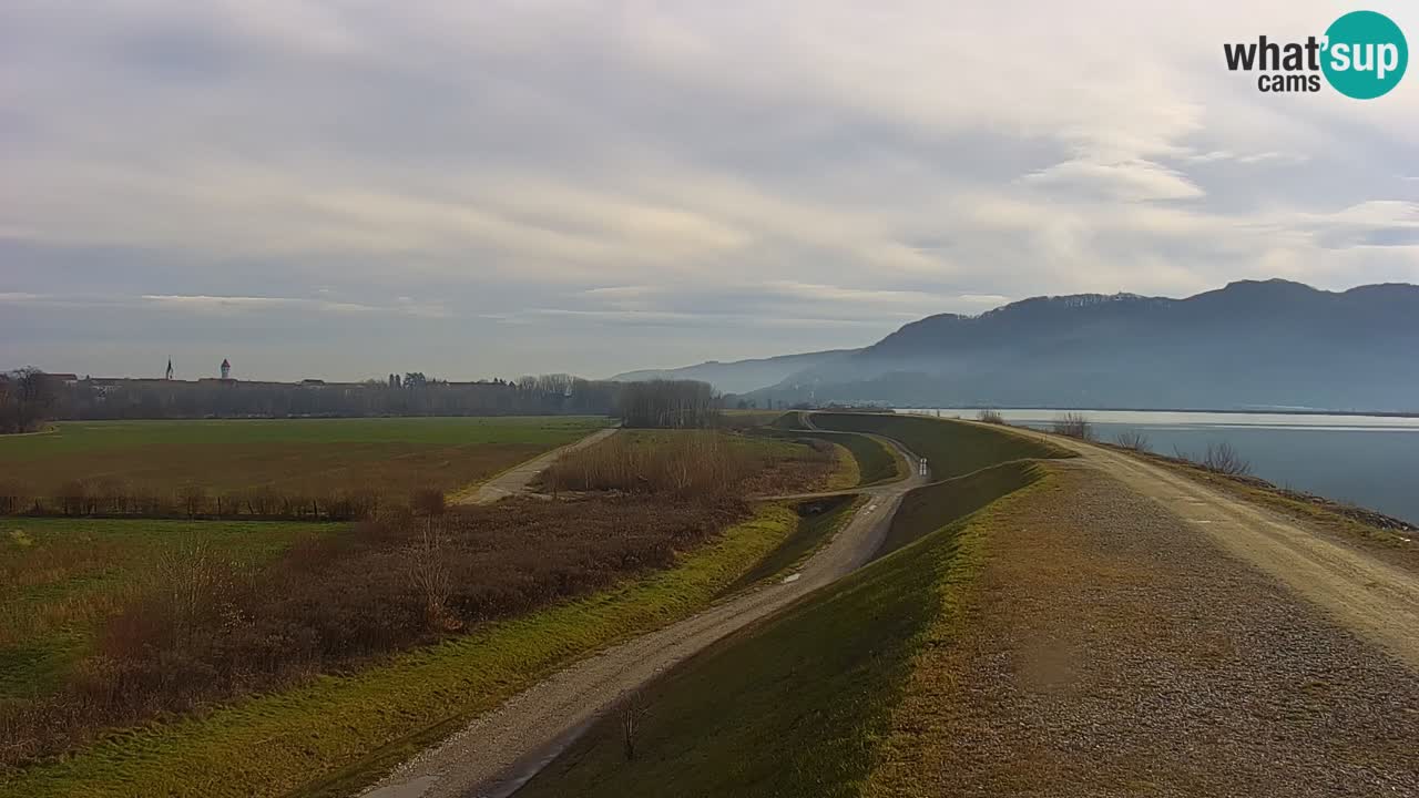 Live Webcam Lago di Brežice sul fiume Sava – Slovenia