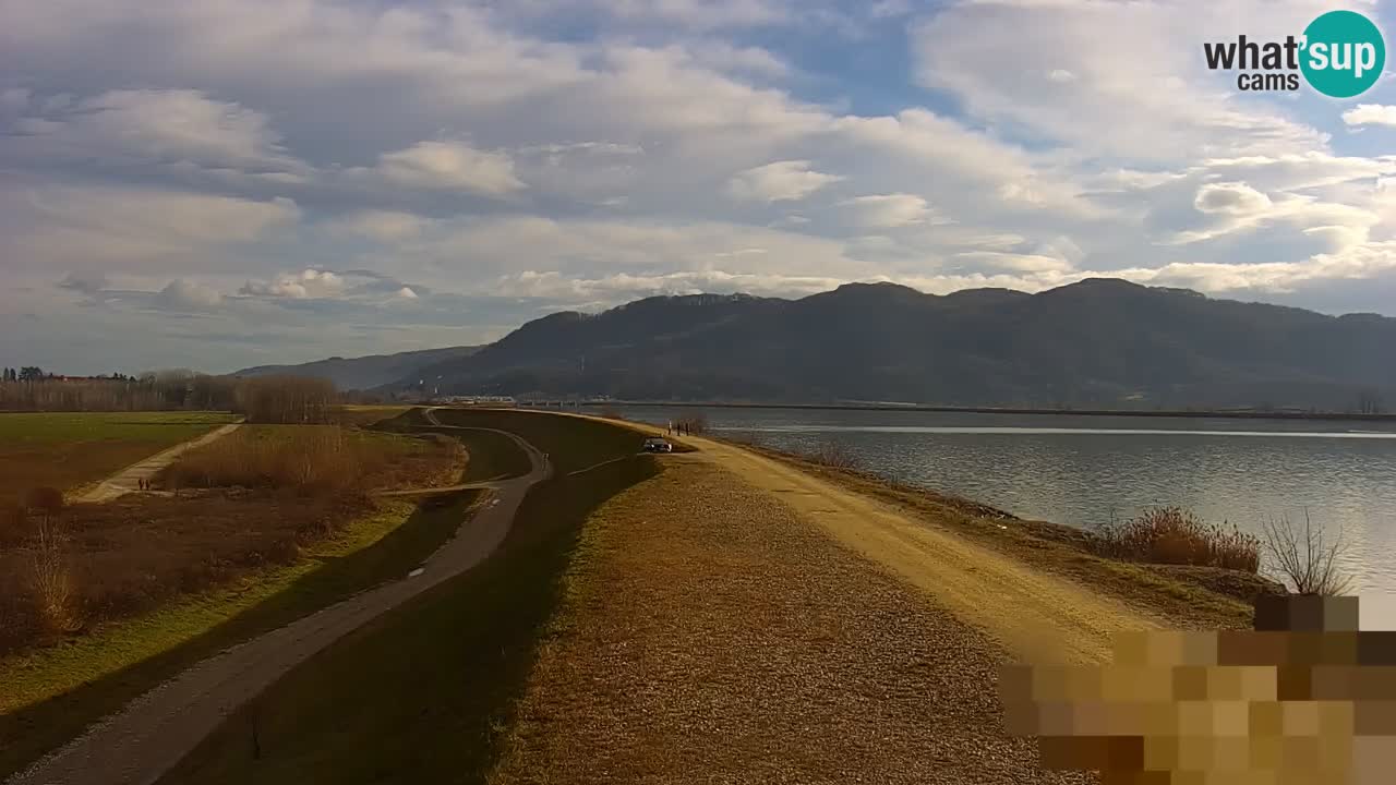 Webcam en vivo lago Brežice en el río Sava – Eslovenia