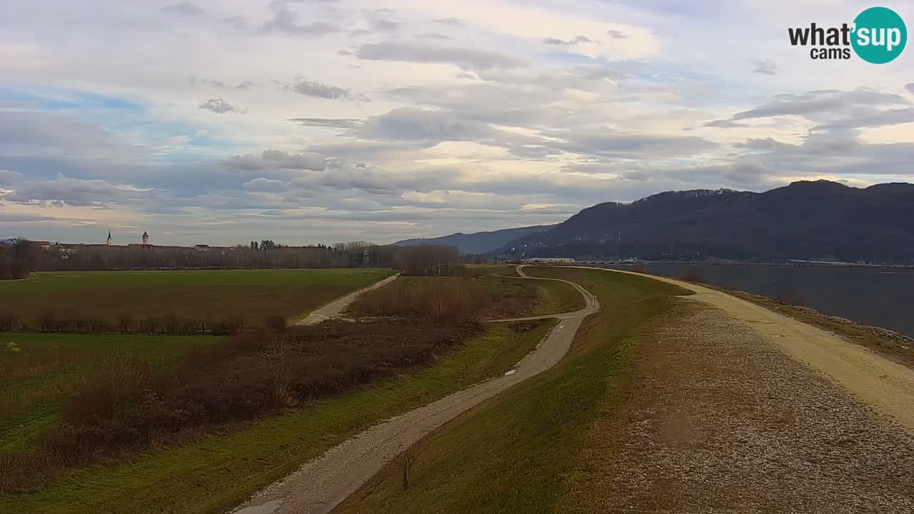 Live Webcam Lago di Brežice sul fiume Sava – Slovenia