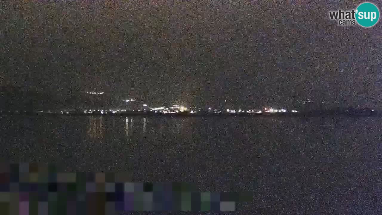 Webcam en vivo lago Brežice en el río Sava – Eslovenia