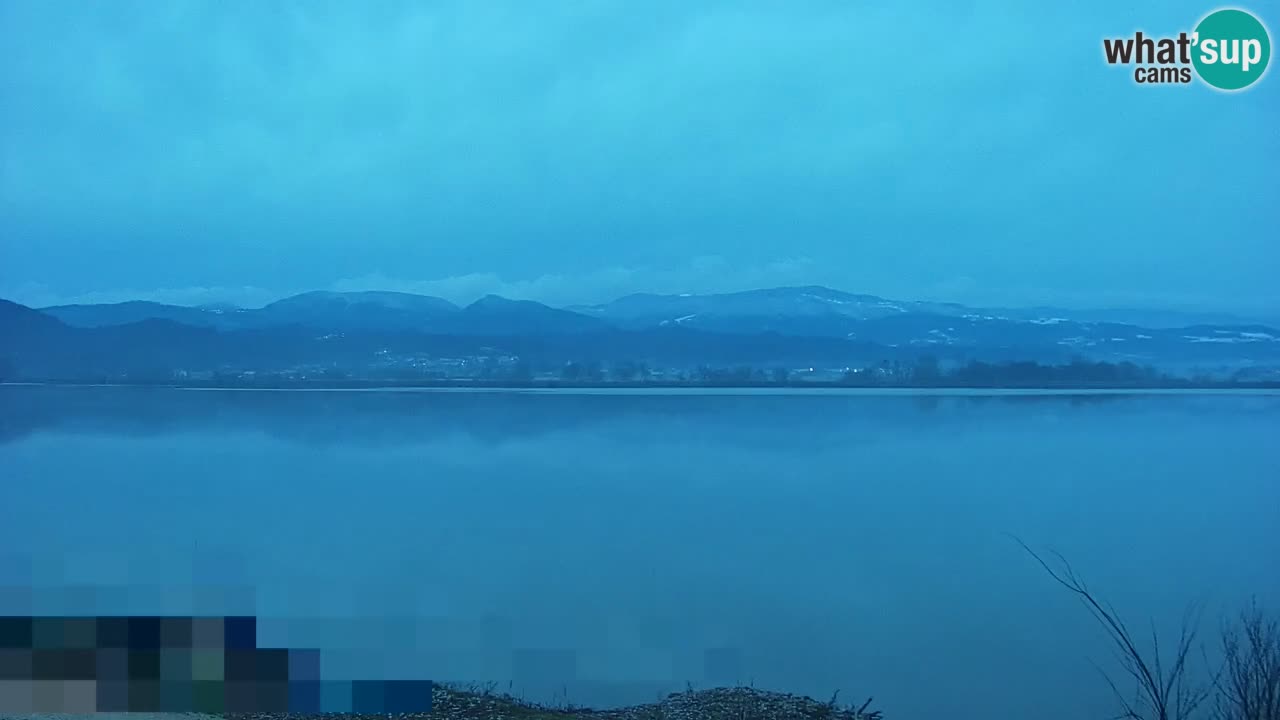 Webcam en direct Lac Brežice sur la rivière Sava – Slovénie