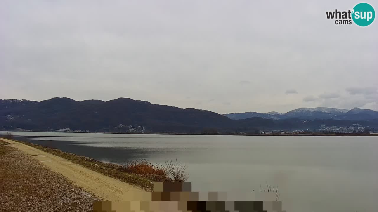 Live Webcam Brežice lake on Sava river – Slovenia