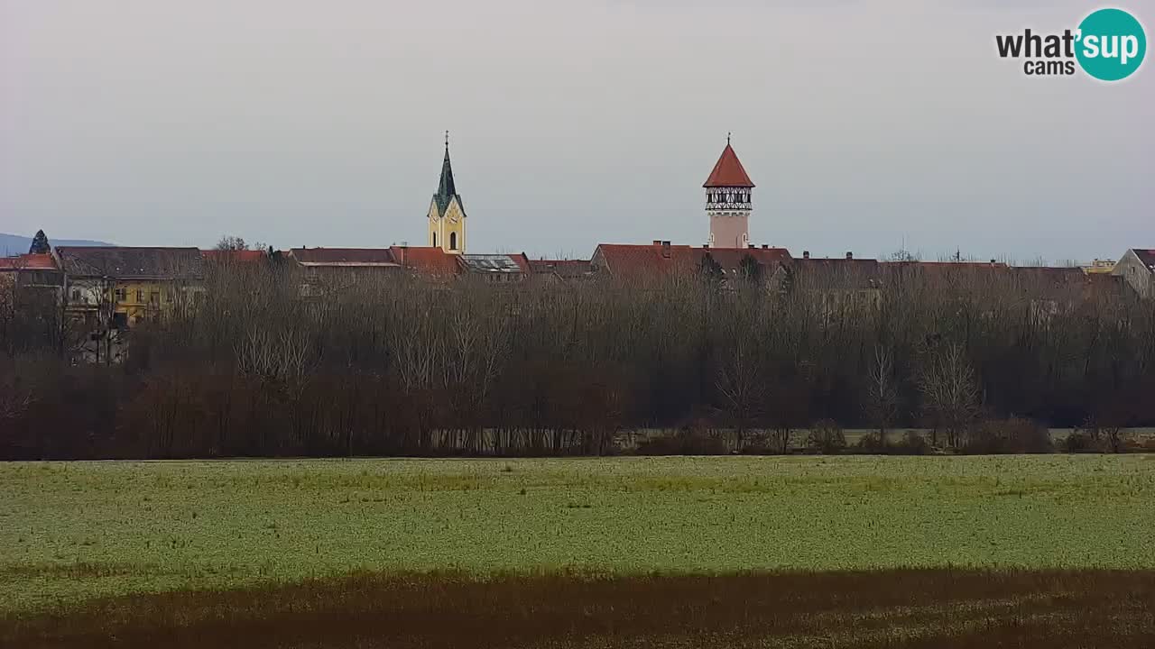 Spletna kamera v živo Brežiško jezero na reki Savi – Slovenija