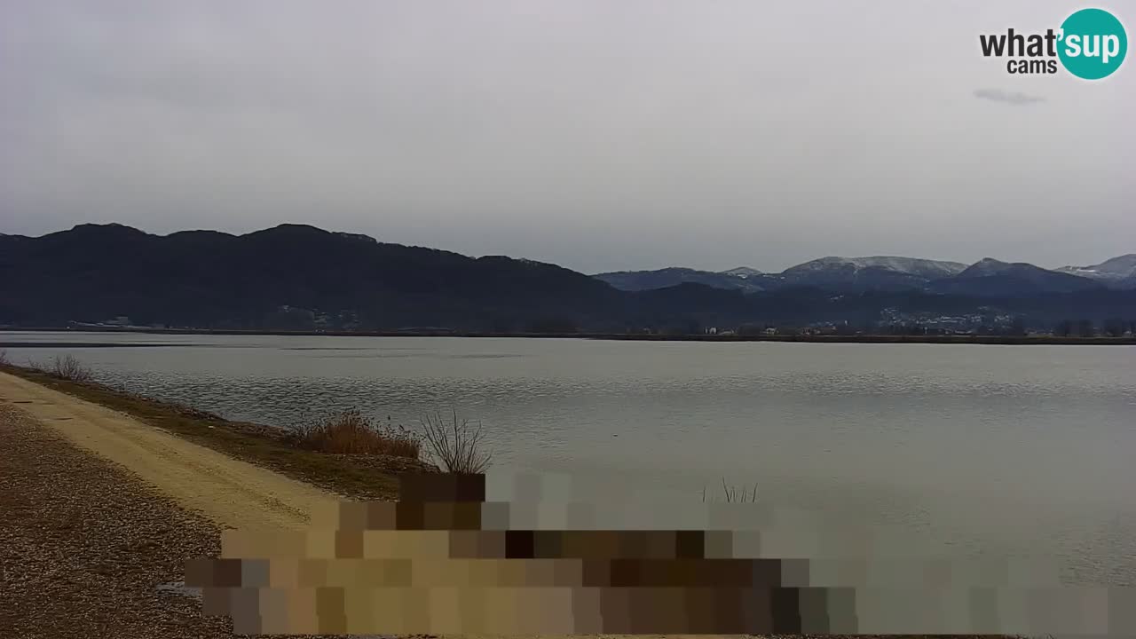 Webcam en vivo lago Brežice en el río Sava – Eslovenia