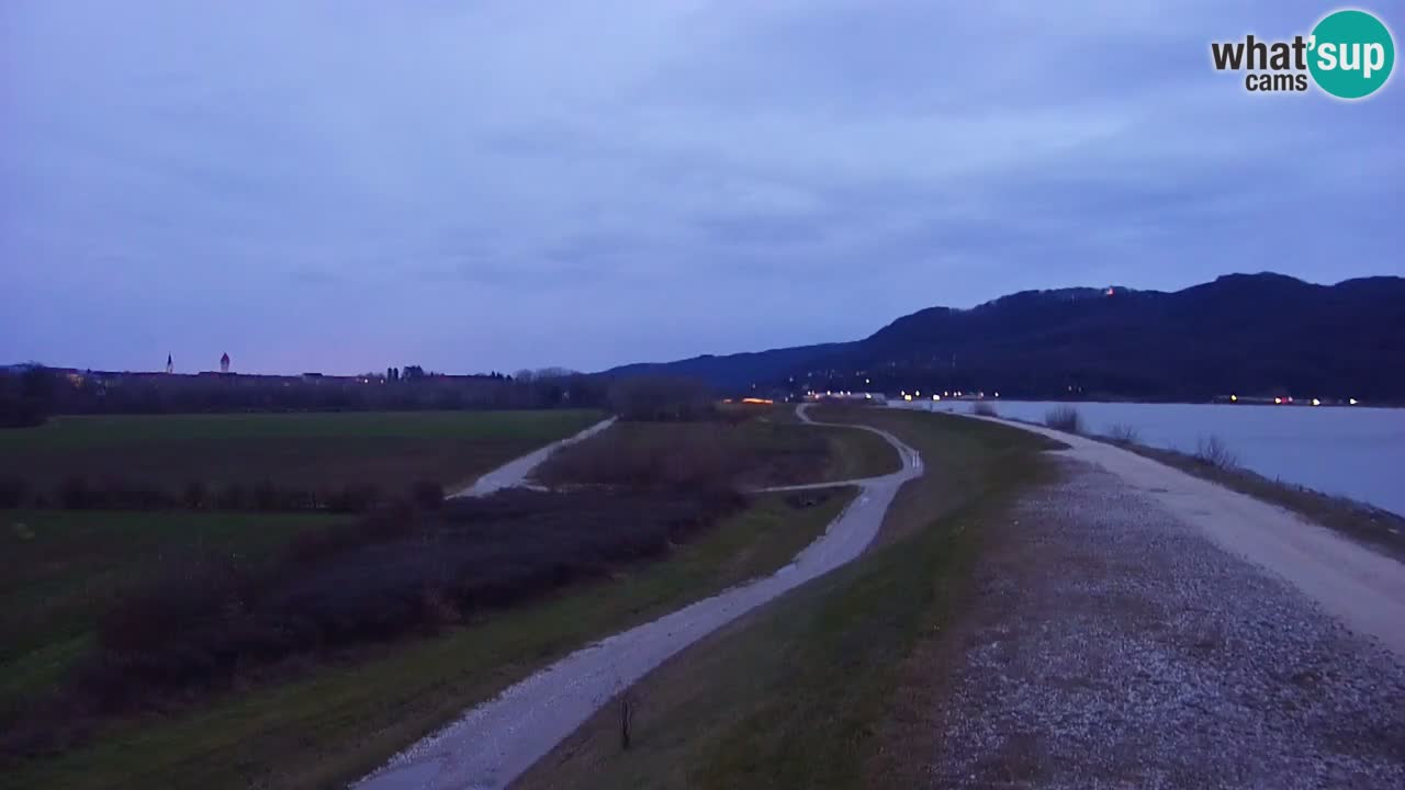 Webcam en direct Lac Brežice sur la rivière Sava – Slovénie