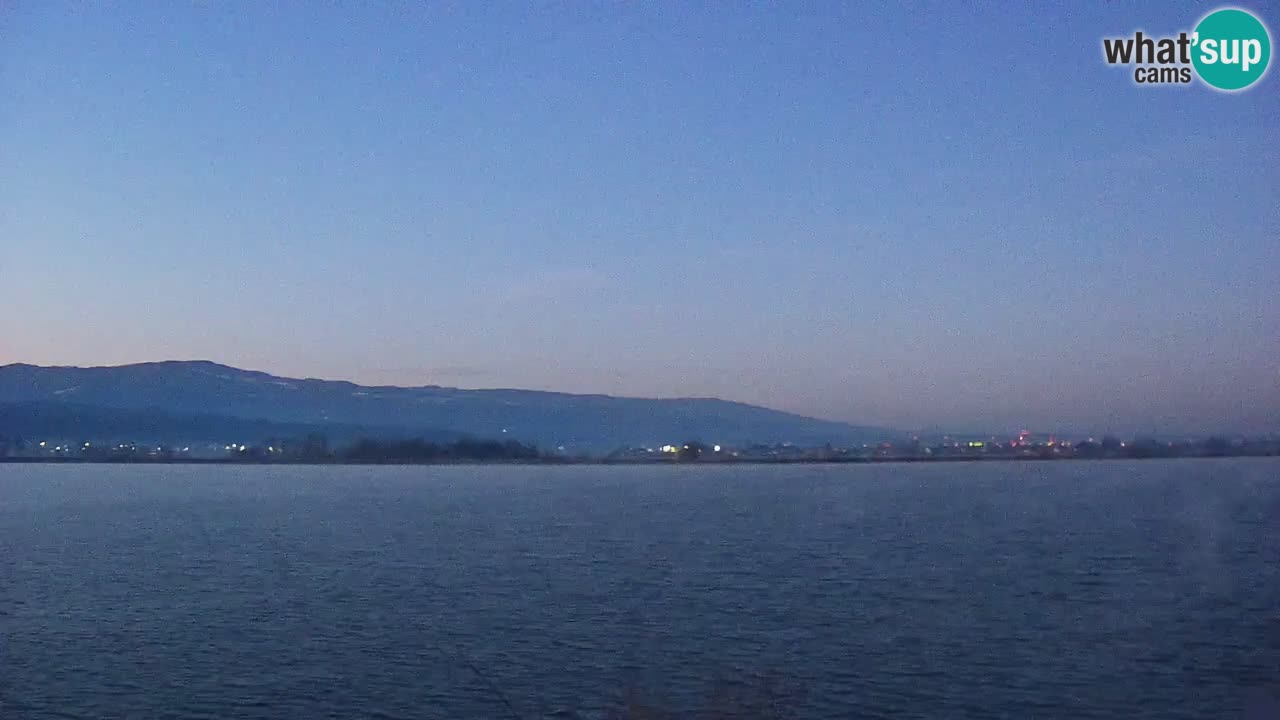 Webcam en direct Lac Brežice sur la rivière Sava – Slovénie