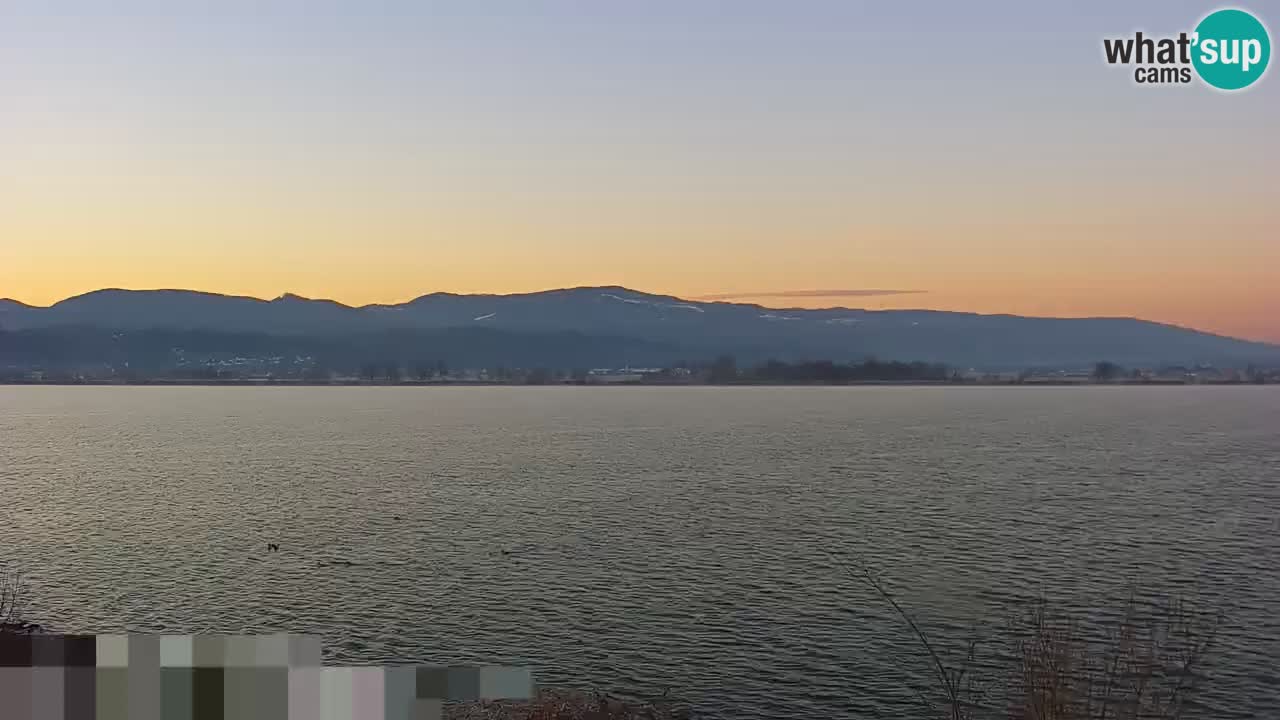 Live Webcam Brežice lake on Sava river – Slovenia