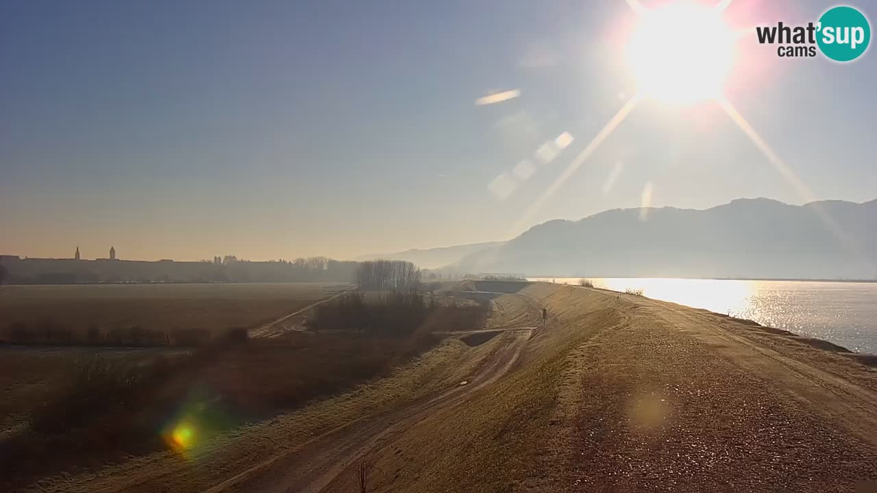 Spletna kamera v živo Brežiško jezero na reki Savi – Slovenija