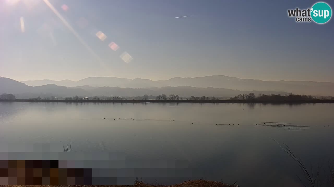 Webcam en direct Lac Brežice sur la rivière Sava – Slovénie