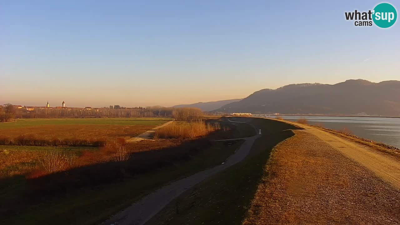 Live Webcam Brežice lake on Sava river – Slovenia