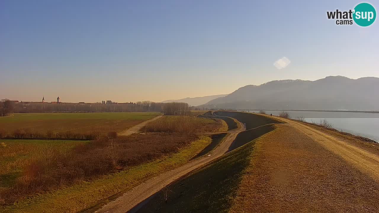 Live Webcam Lago di Brežice sul fiume Sava – Slovenia