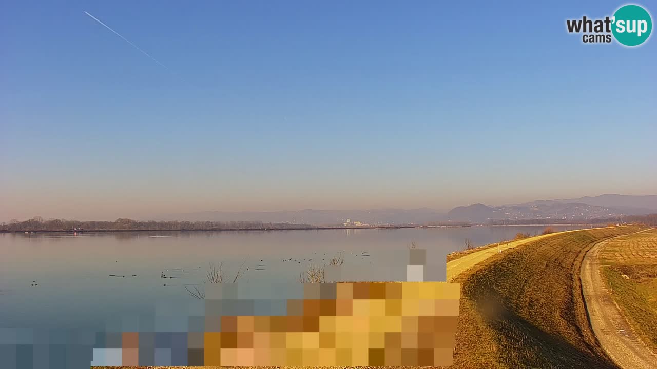 Webcam en direct Lac Brežice sur la rivière Sava – Slovénie