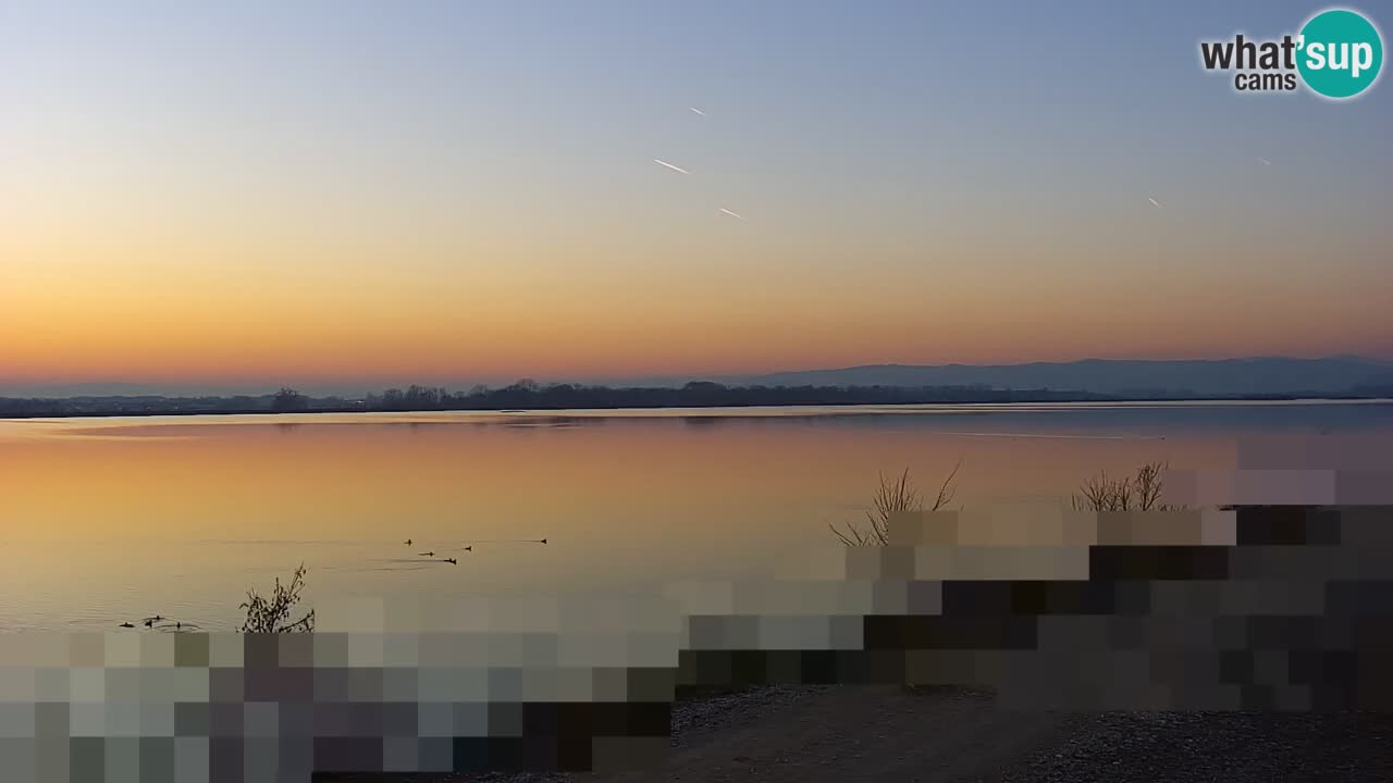 Webcam en direct Lac Brežice sur la rivière Sava – Slovénie