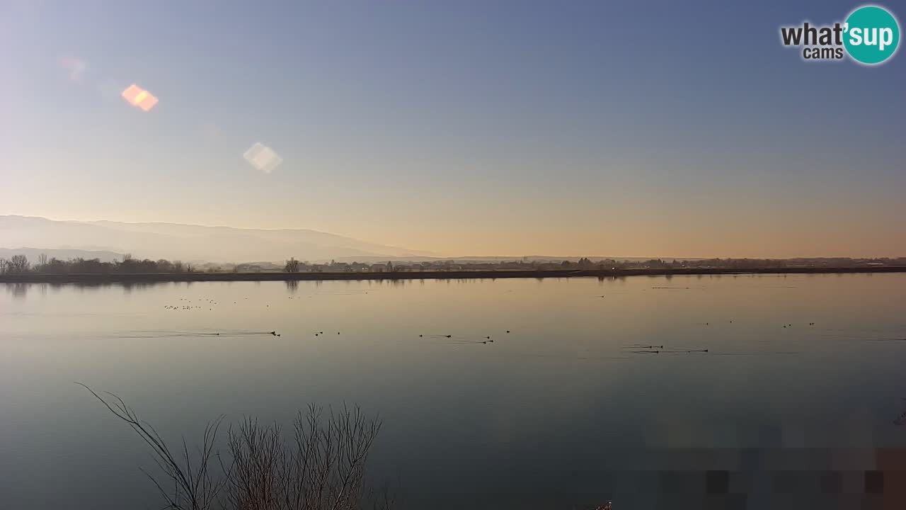 Webcam en direct Lac Brežice sur la rivière Sava – Slovénie