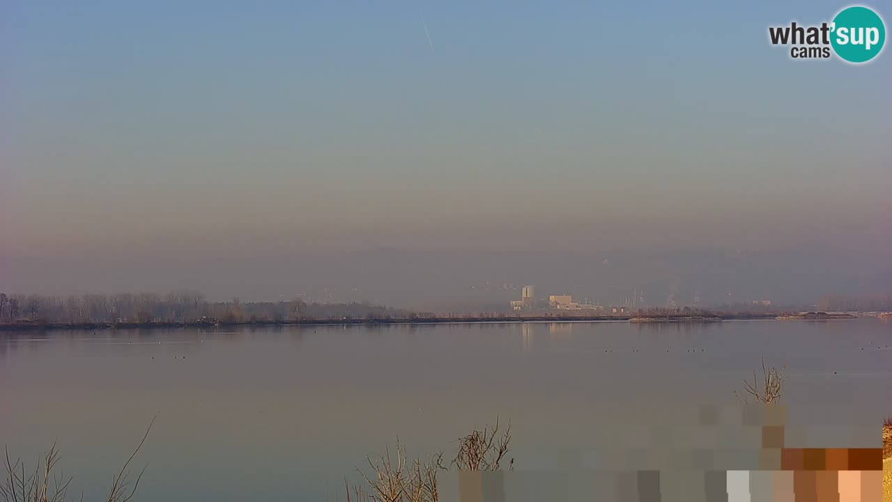 Live Webcam Brežice lake on Sava river – Slovenia