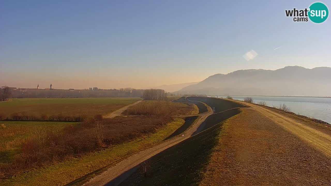 Webcam en direct Lac Brežice sur la rivière Sava – Slovénie