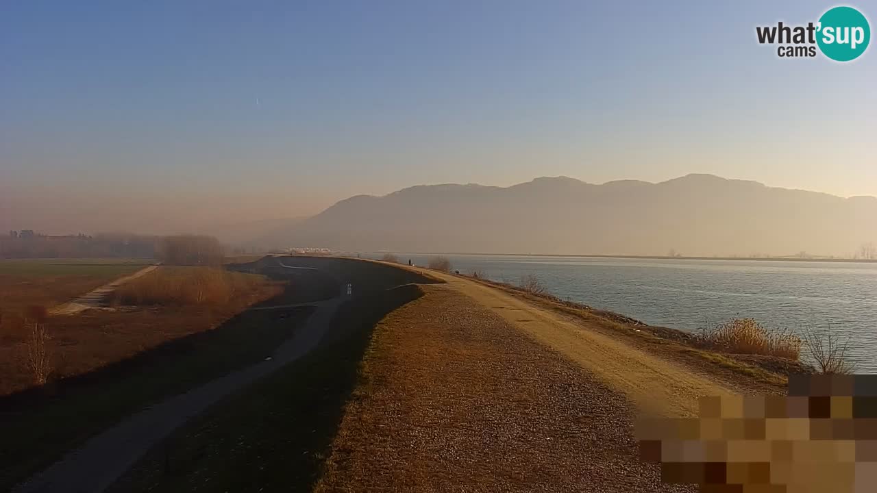 Spletna kamera v živo Brežiško jezero na reki Savi – Slovenija