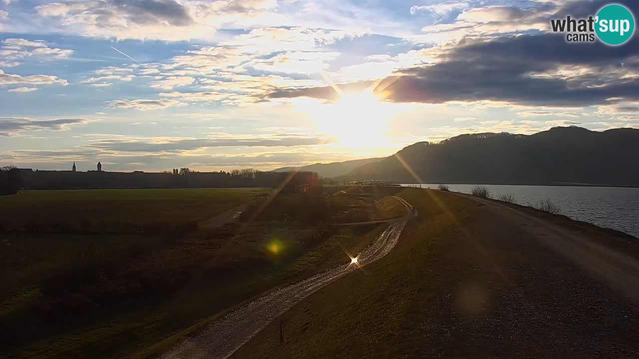 Webcam en direct Lac Brežice sur la rivière Sava – Slovénie