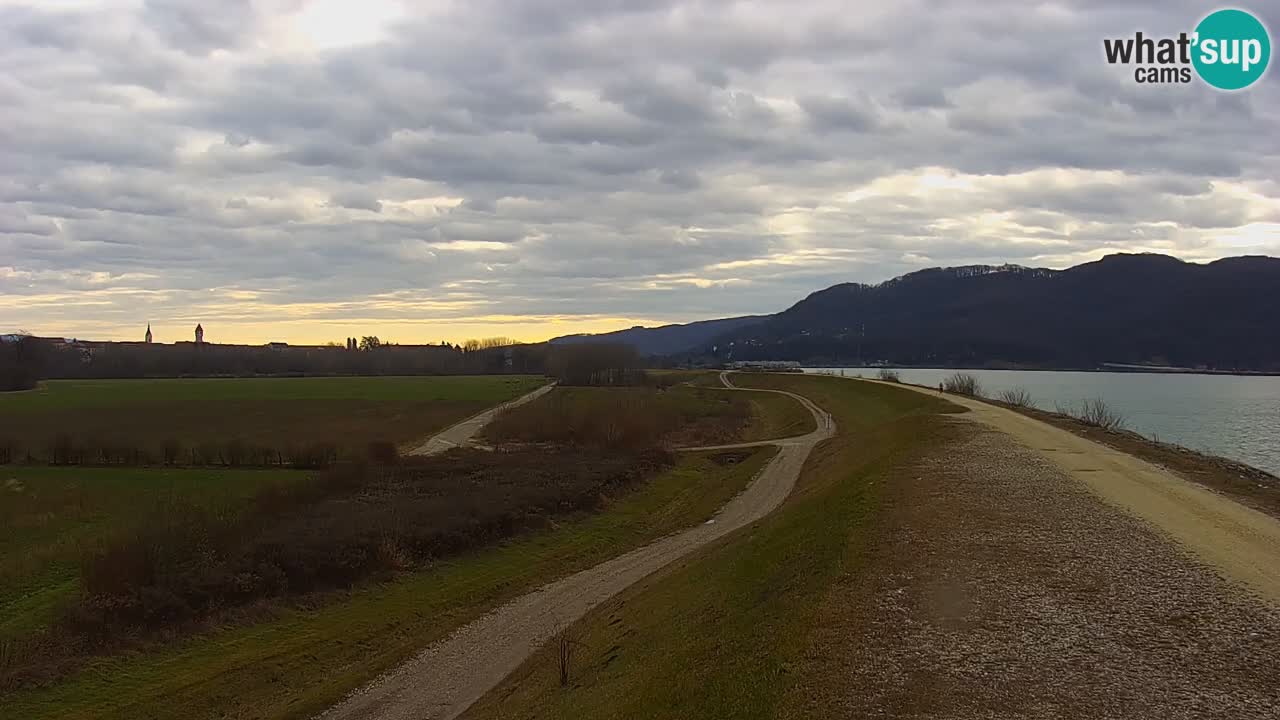 Live Webcam Brežice lake on Sava river – Slovenia