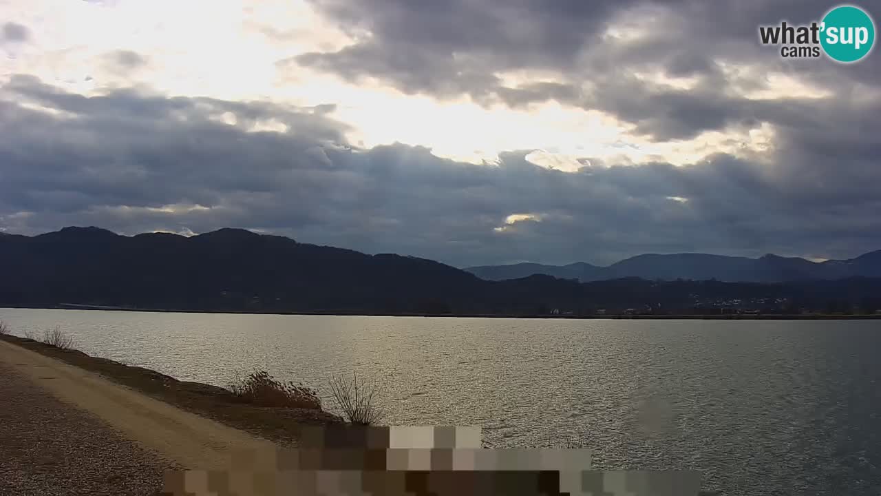 Live Webcam Lago di Brežice sul fiume Sava – Slovenia