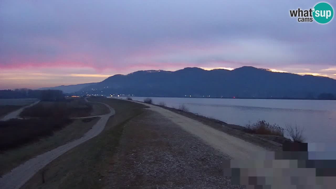 Live Webcam Brežice lake on Sava river – Slovenia