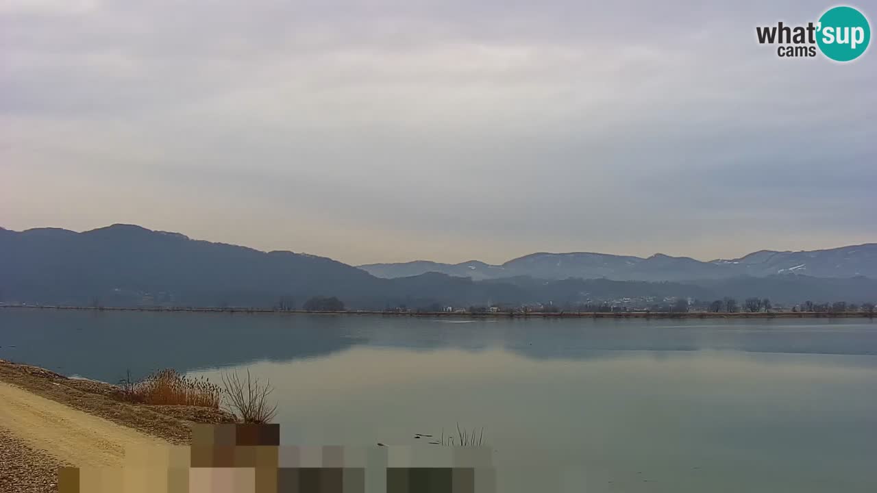 Live Webcam Brežice lake on Sava river – Slovenia