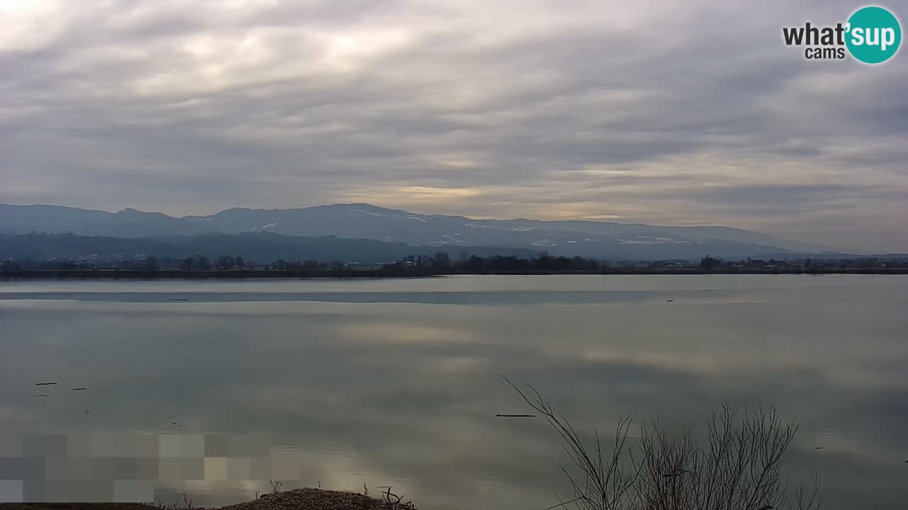 Live Webcam Brežice lake on Sava river – Slovenia