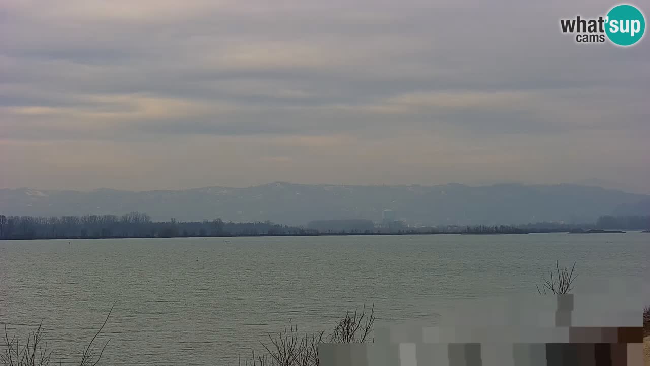 Live Webcam Brežice lake on Sava river – Slovenia