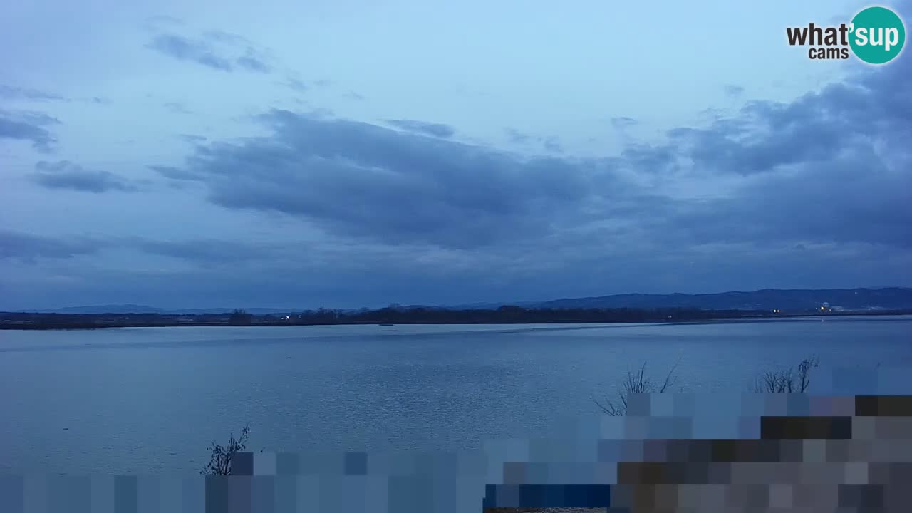 Webcam en direct Lac Brežice sur la rivière Sava – Slovénie