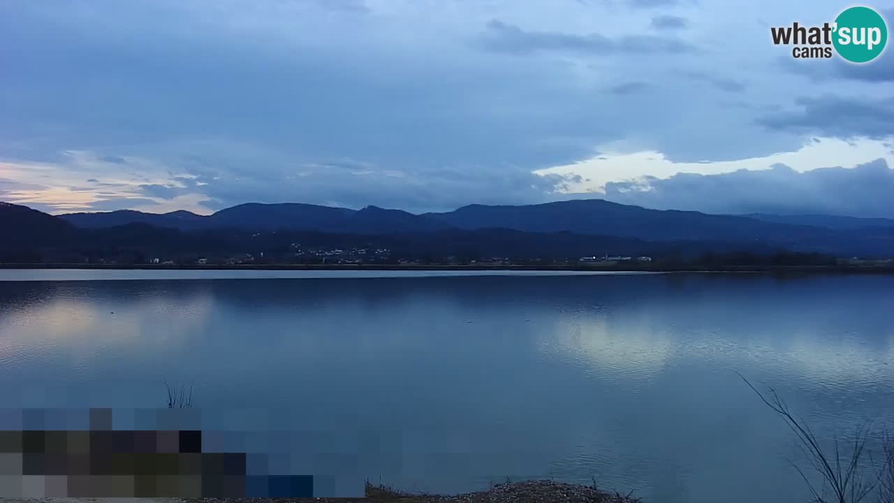 Webcam en direct Lac Brežice sur la rivière Sava – Slovénie