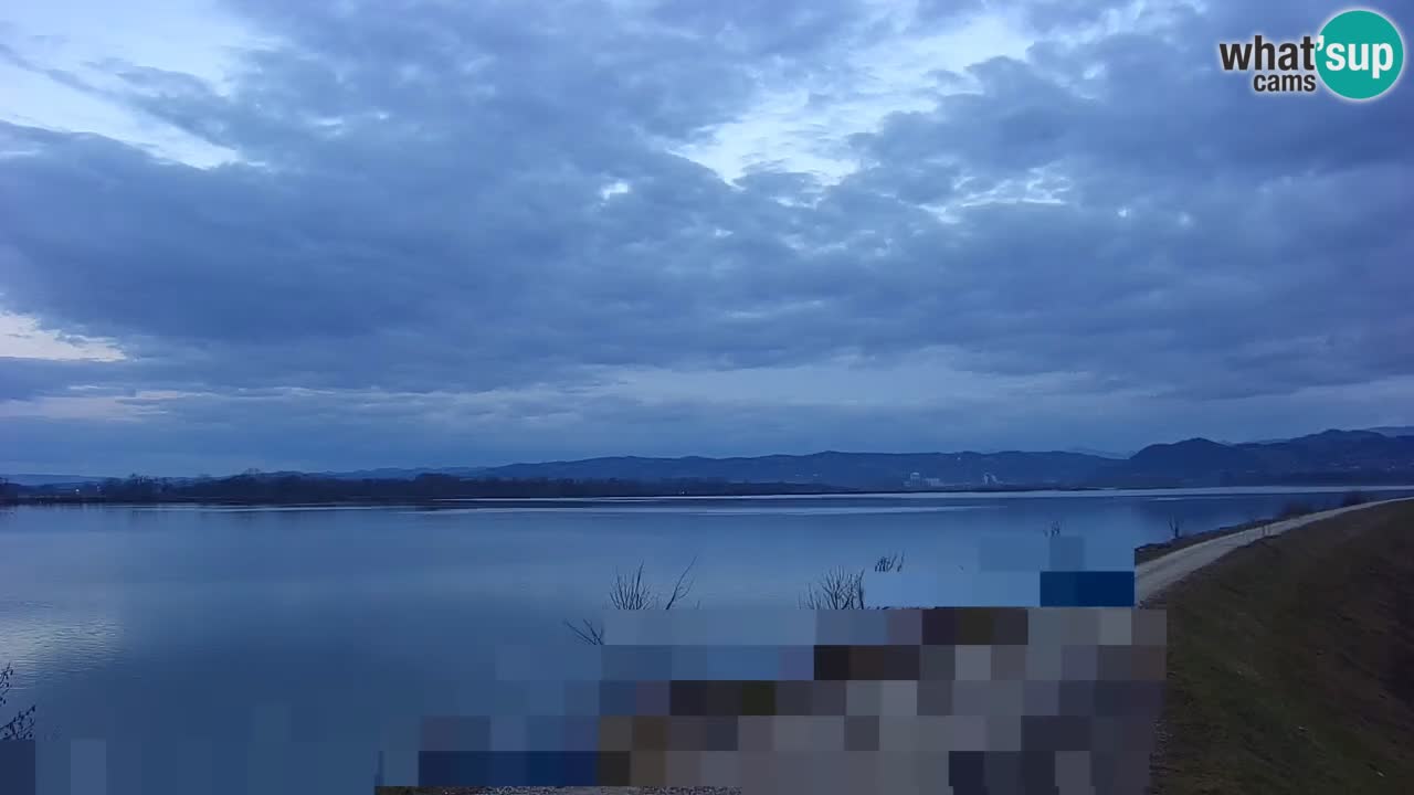 Live Webcam Lago di Brežice sul fiume Sava – Slovenia