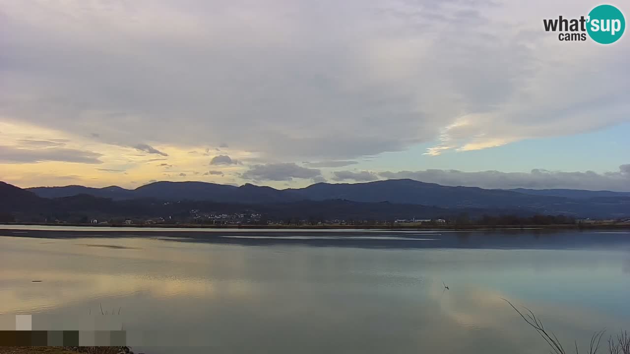 Webcam en direct Lac Brežice sur la rivière Sava – Slovénie