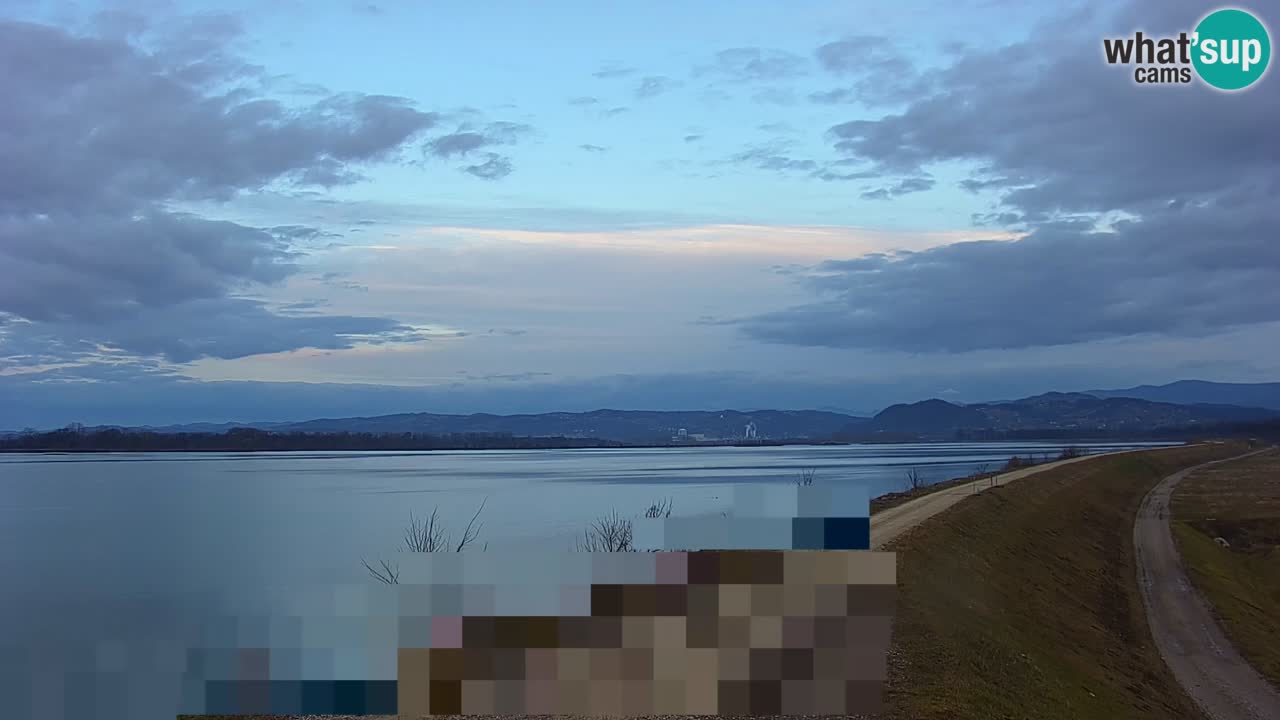 Webcam en vivo lago Brežice en el río Sava – Eslovenia