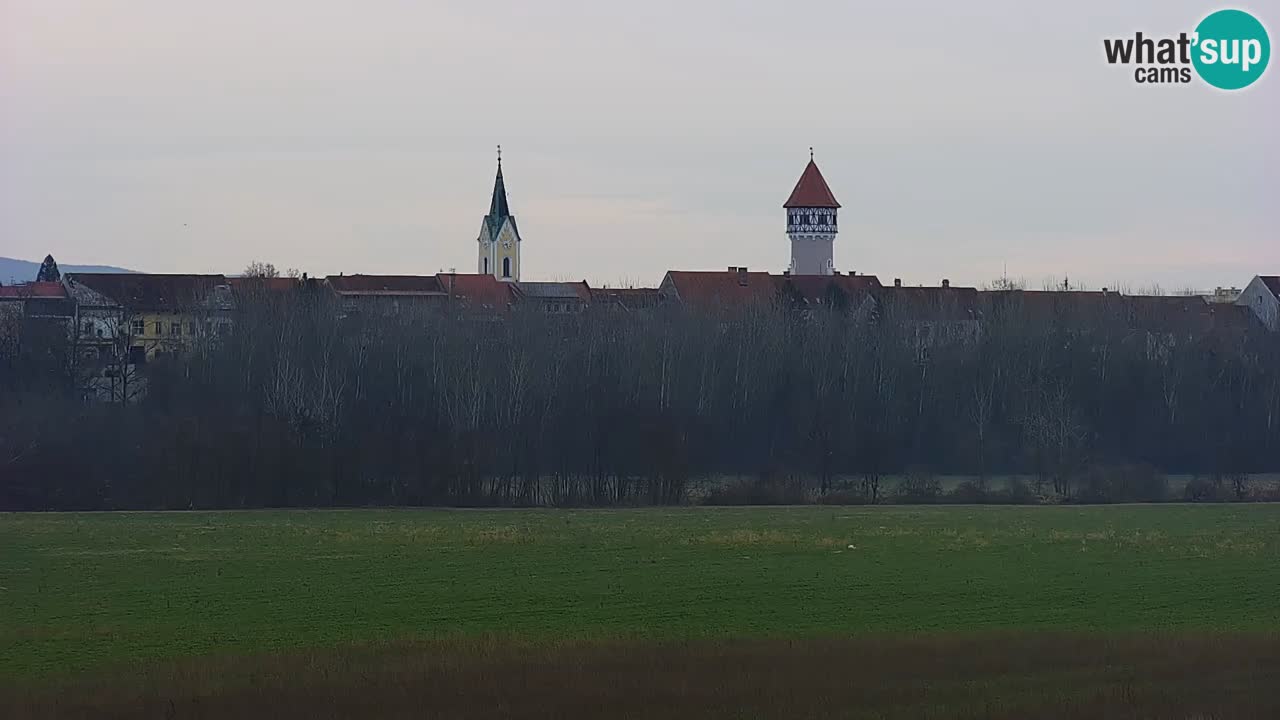 Web kamera uživo Jezero Brežice na rijeci Savi – Slovenija