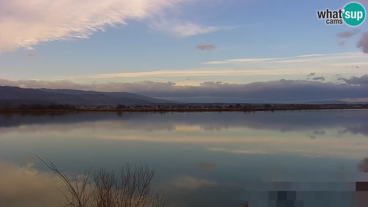 Webcam en vivo lago Brežice en el río Sava – Eslovenia