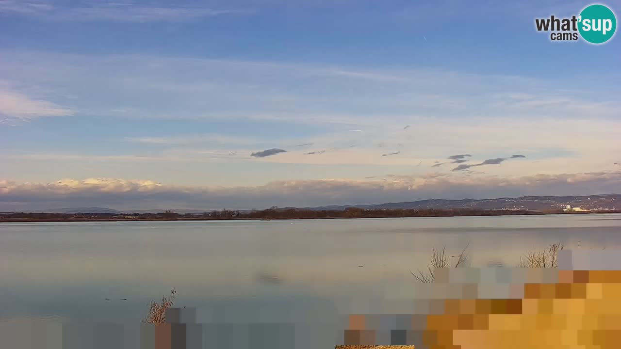 Webcam en direct Lac Brežice sur la rivière Sava – Slovénie