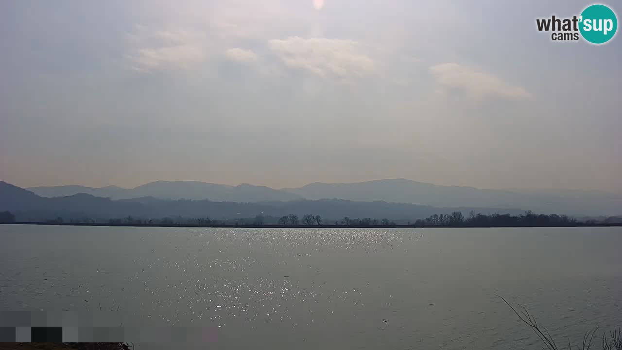 Live Webcam Brežice lake on Sava river – Slovenia