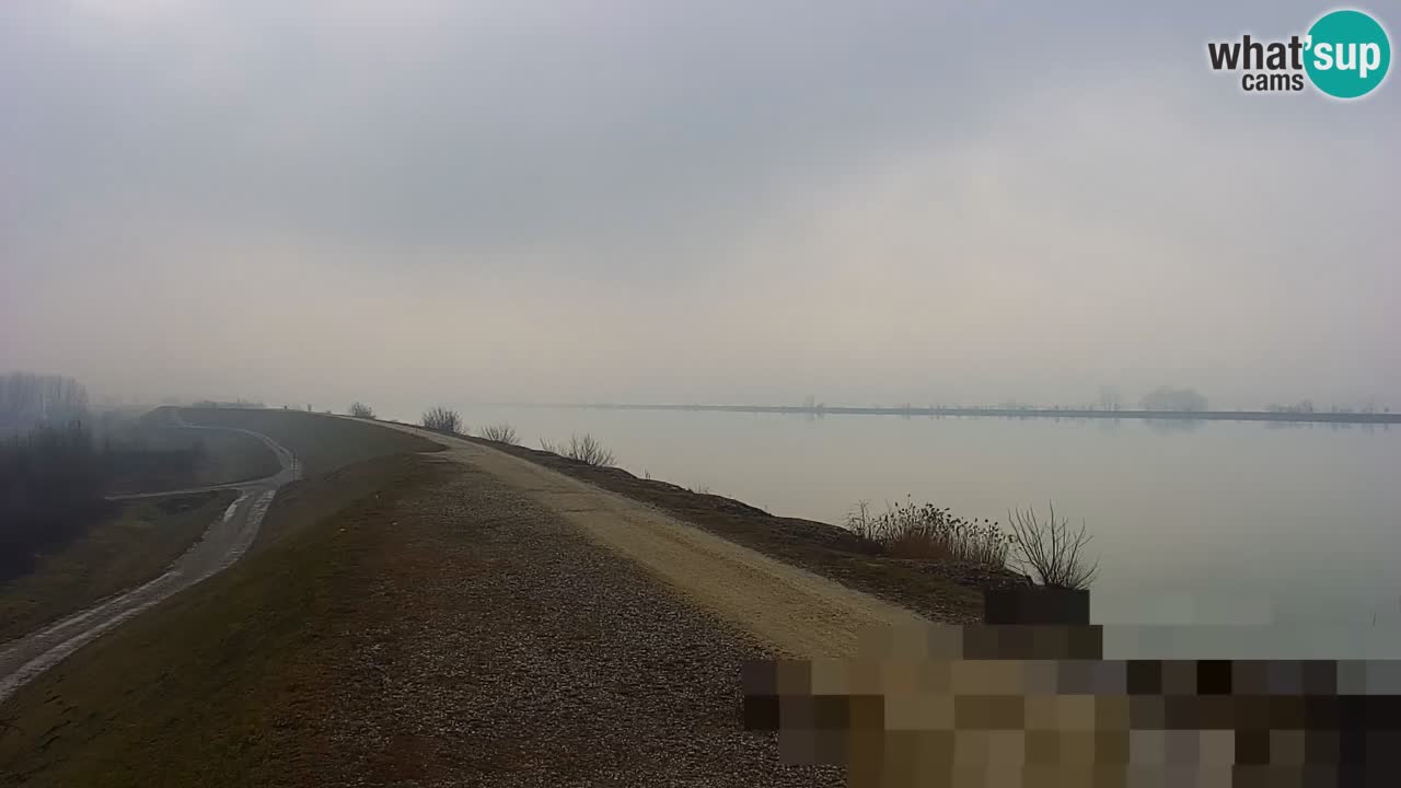 Webcam en direct Lac Brežice sur la rivière Sava – Slovénie