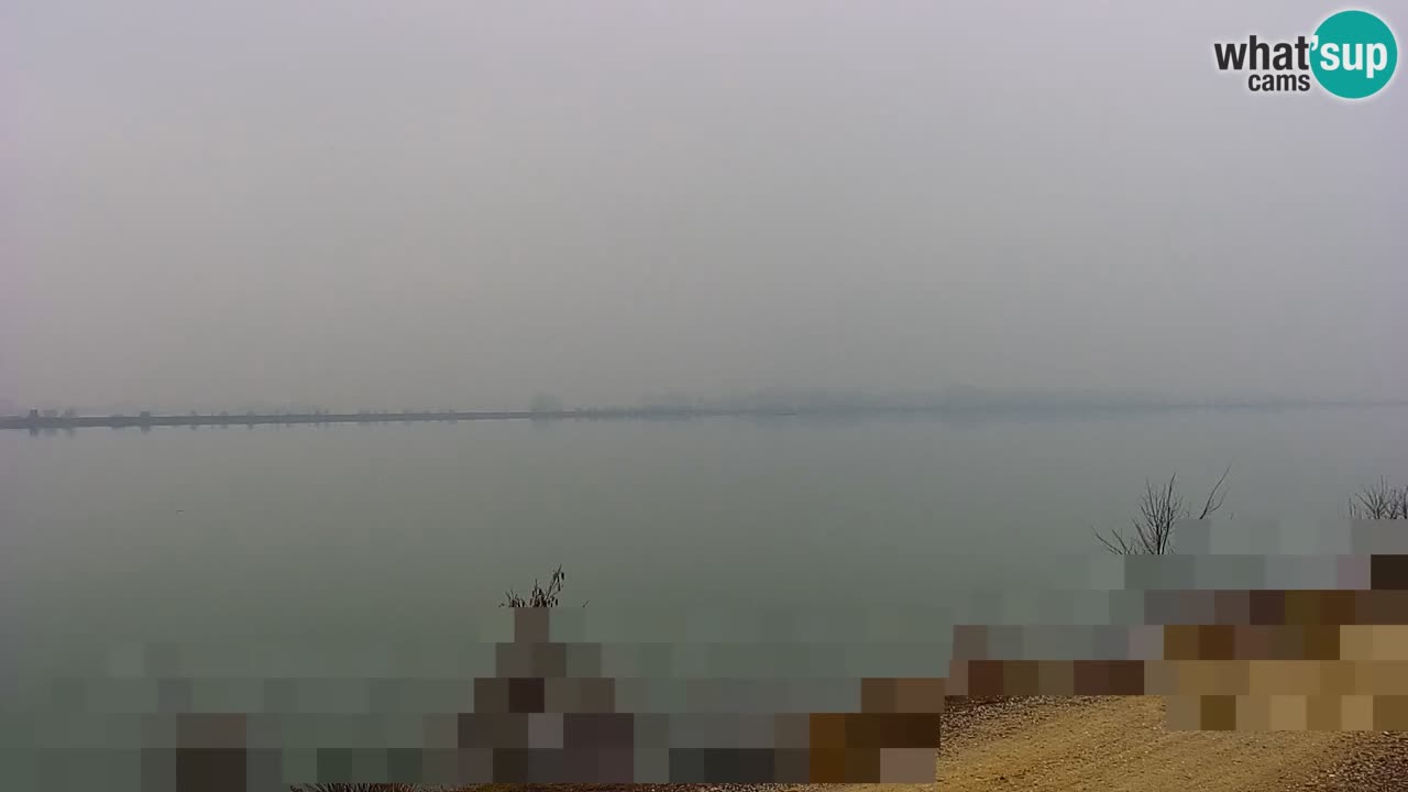 Webcam en vivo lago Brežice en el río Sava – Eslovenia