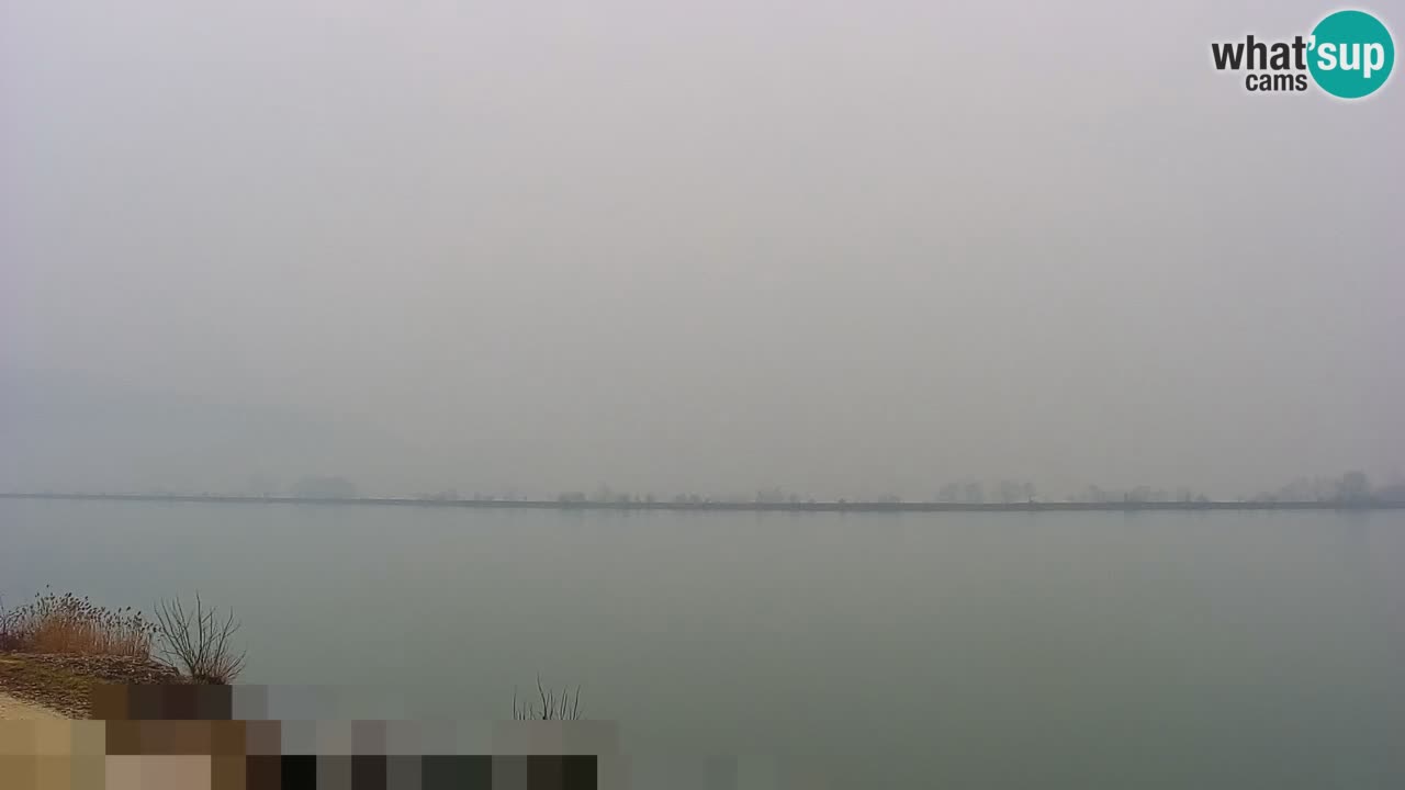 Webcam en direct Lac Brežice sur la rivière Sava – Slovénie