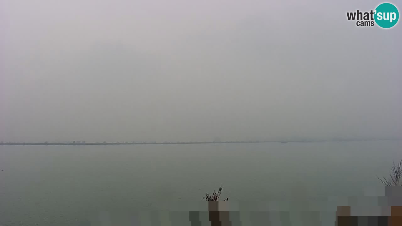 Webcam en direct Lac Brežice sur la rivière Sava – Slovénie