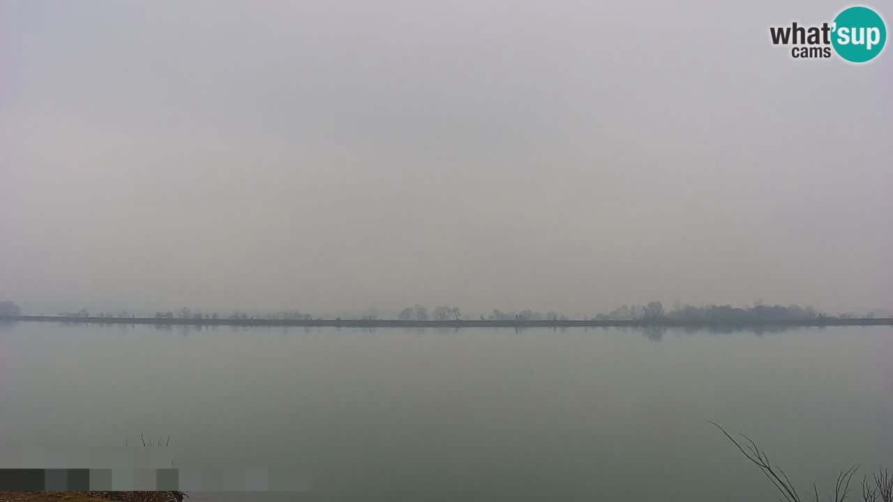 Webcam en vivo lago Brežice en el río Sava – Eslovenia