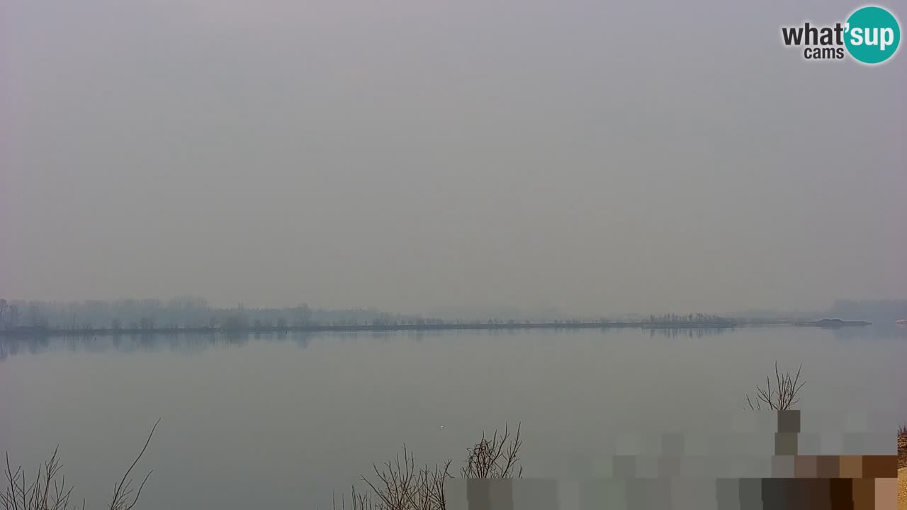 Webcam en vivo lago Brežice en el río Sava – Eslovenia