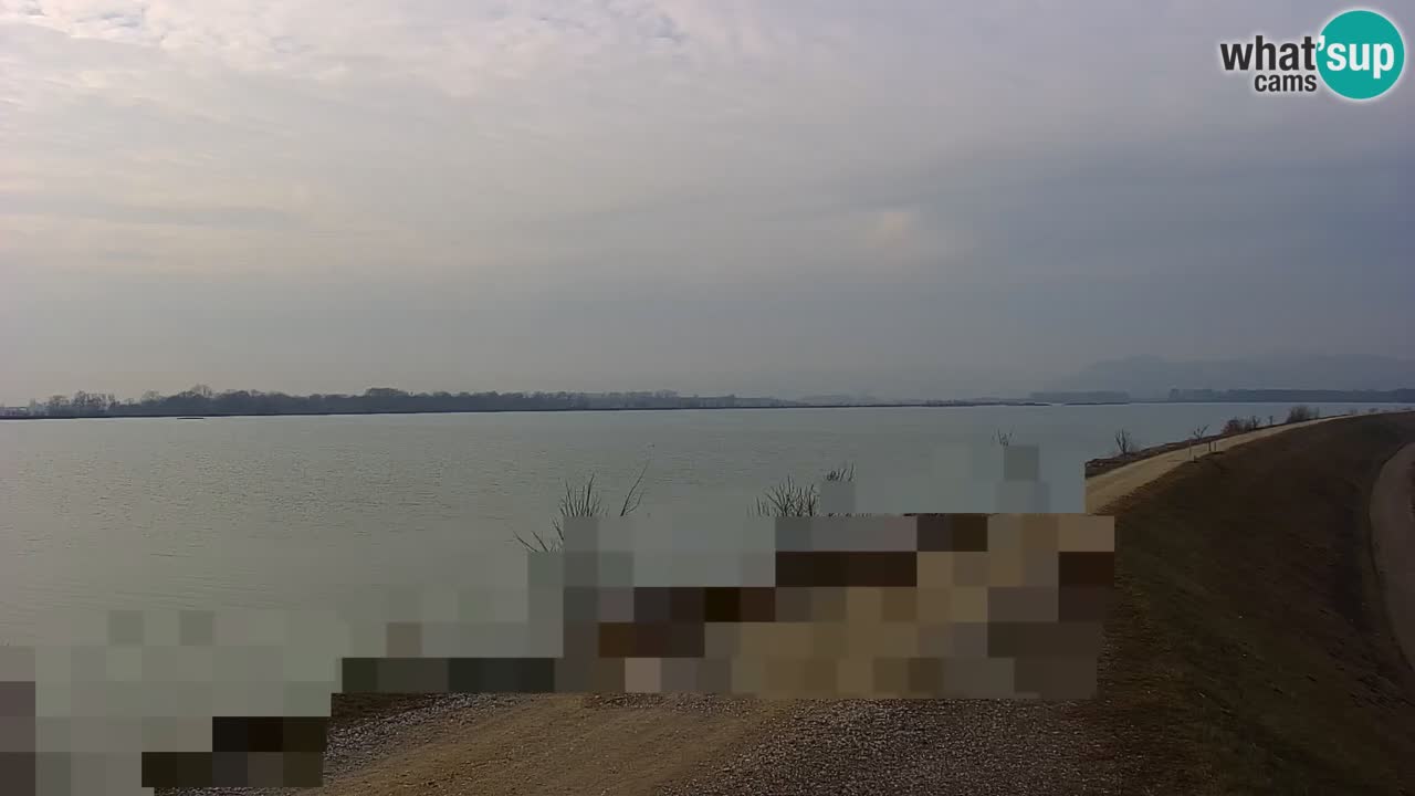 Webcam en direct Lac Brežice sur la rivière Sava – Slovénie