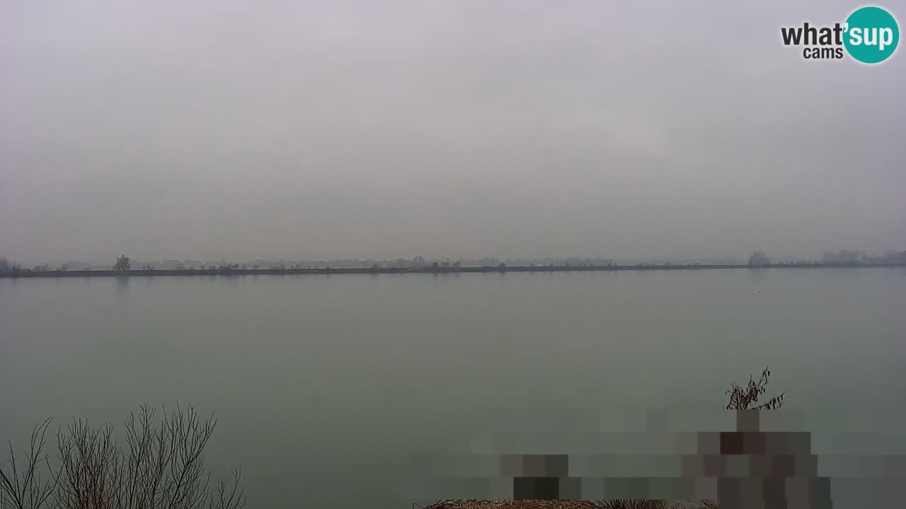 Webcam en vivo lago Brežice en el río Sava – Eslovenia