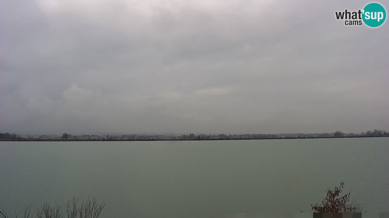 Webcam en vivo lago Brežice en el río Sava – Eslovenia