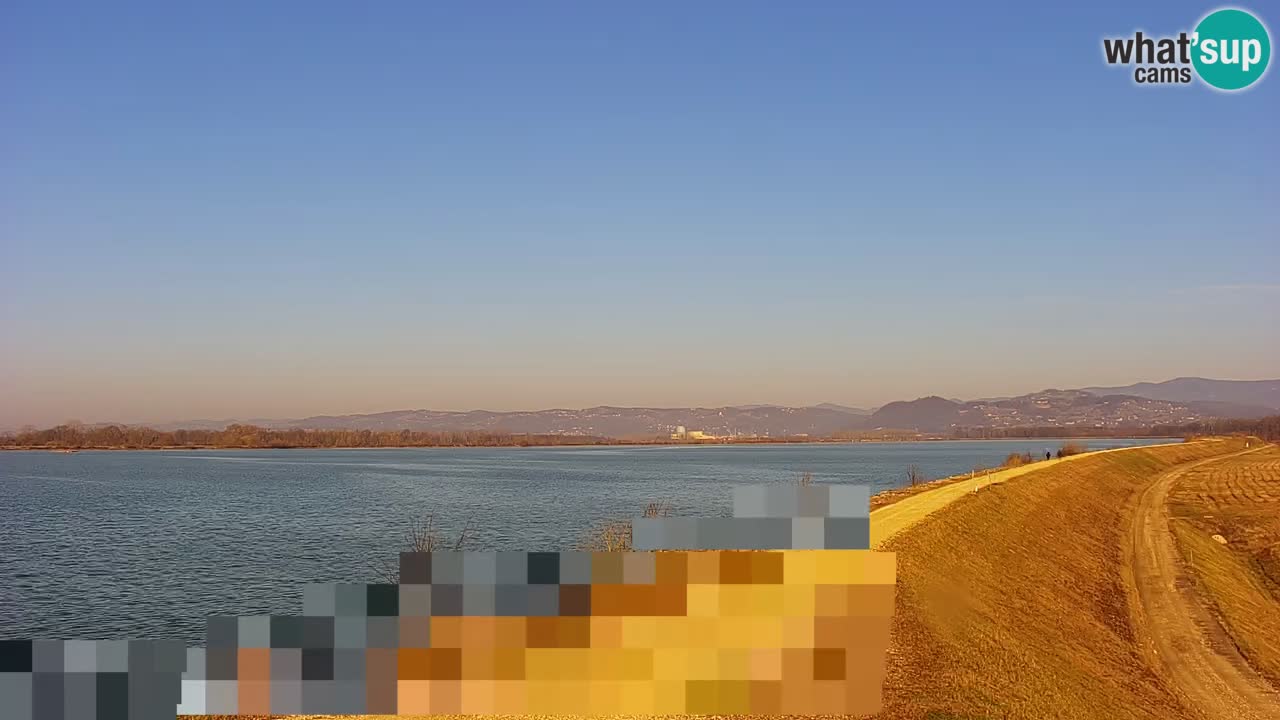 Webcam en vivo lago Brežice en el río Sava – Eslovenia