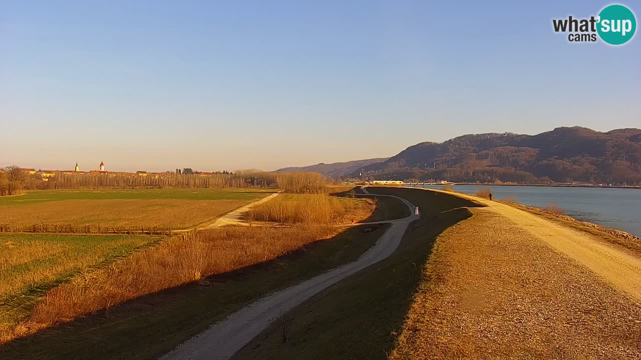 Live Webcam Brežice See am Fluss Sava – Slowenien