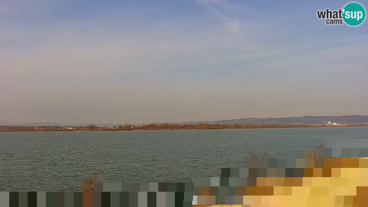 Webcam en vivo lago Brežice en el río Sava – Eslovenia